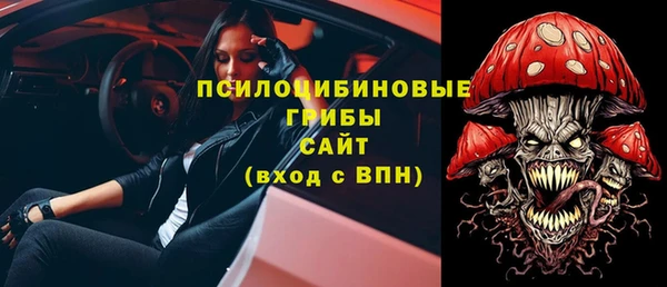 дурь Алексин